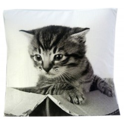 Coussin chat personnalisé