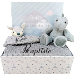Corbeille cadeau naissance personnalisé