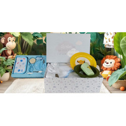 Corbeille cadeau naissance personnalisé