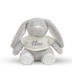 Peluche personnalisée 