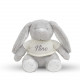 Peluche personnalisée 