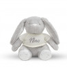 Peluche personnalisée 