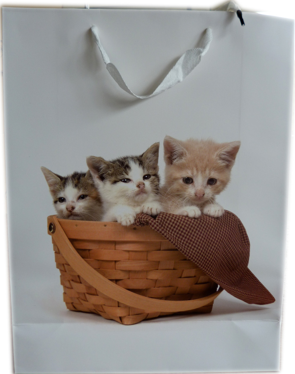 3 petits chats